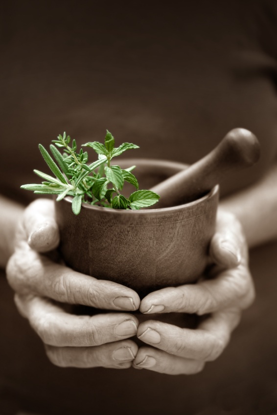 hands honding bowl with herbs